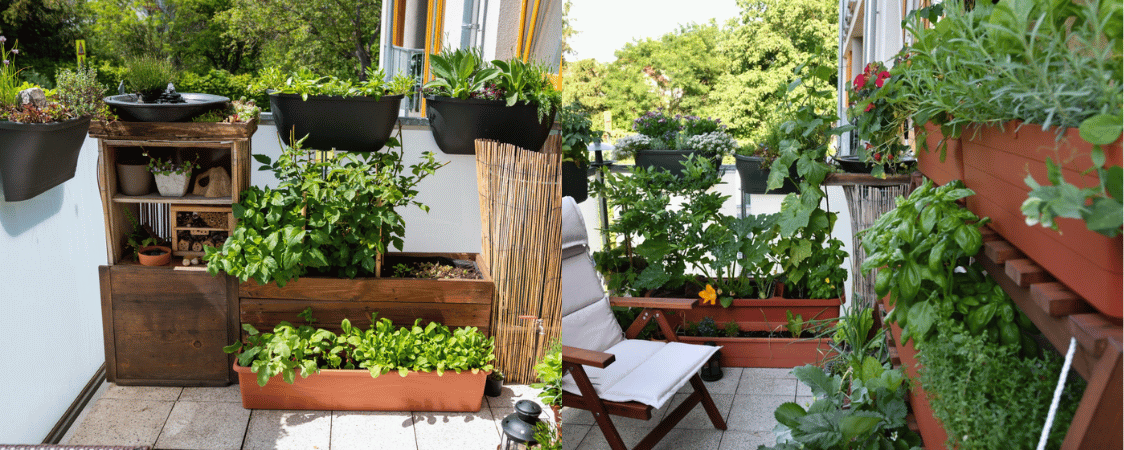 Jak si vybrat truhlík na balkon